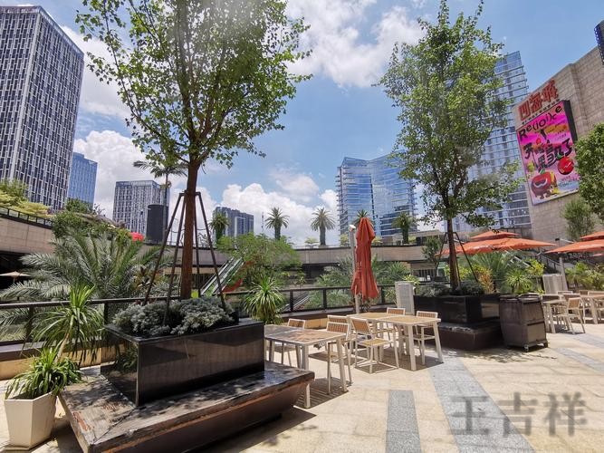 万博在哪里玩更方便详细入口说明